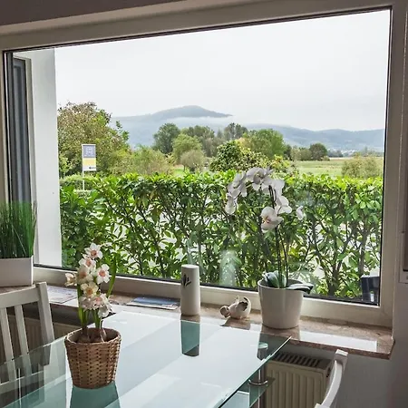 Nickel Eg Am Holzlachgraben Alsbach-Hähnlein