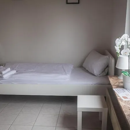 Nickel Eg Am Holzlachgraben * Alsbach-Hähnlein