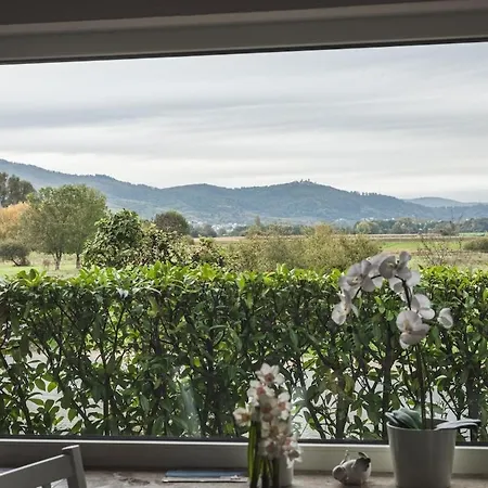 Nickel Eg Am Holzlachgraben Alsbach-Hähnlein