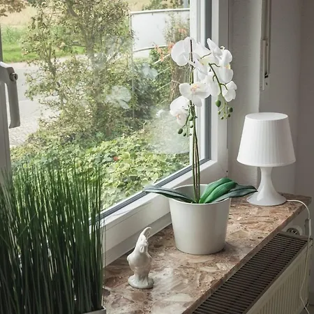 Nickel Eg Am Holzlachgraben * Alsbach-Hähnlein