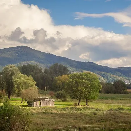 Nickel Eg Am Holzlachgraben 公寓